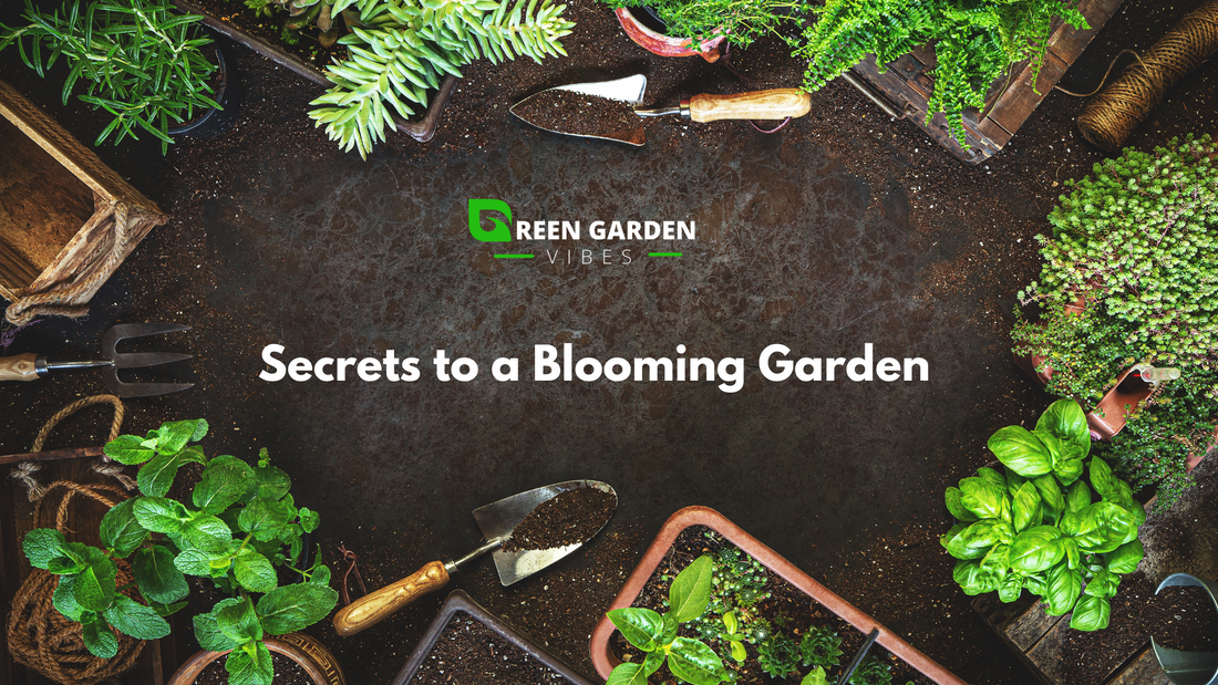 🌱Secrets to a Blooming Garden!