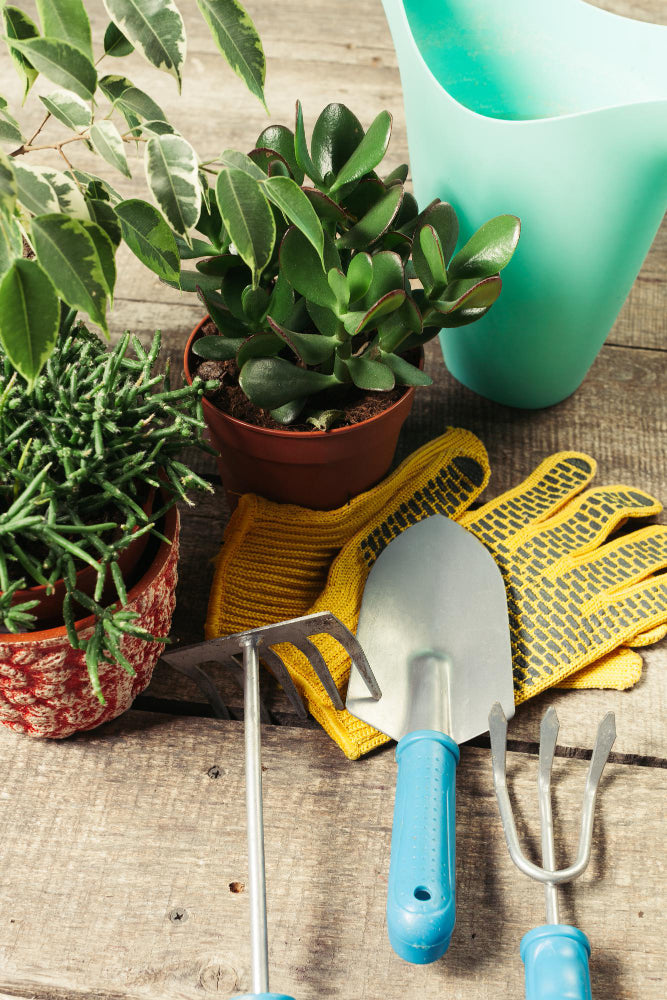 10 Essential Tools Every Gardener Should Have!