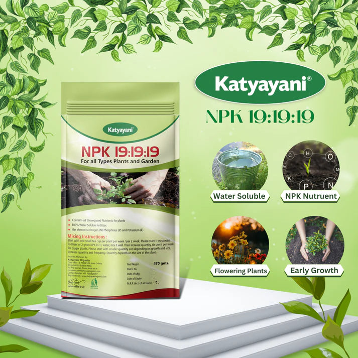 NPK 19 19 19 100% Water Soluble Fertilizer