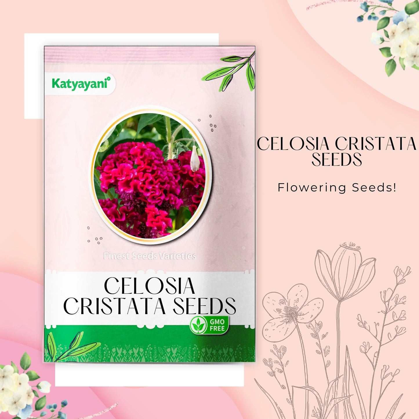 Celosia Cristata Flowering Seeds