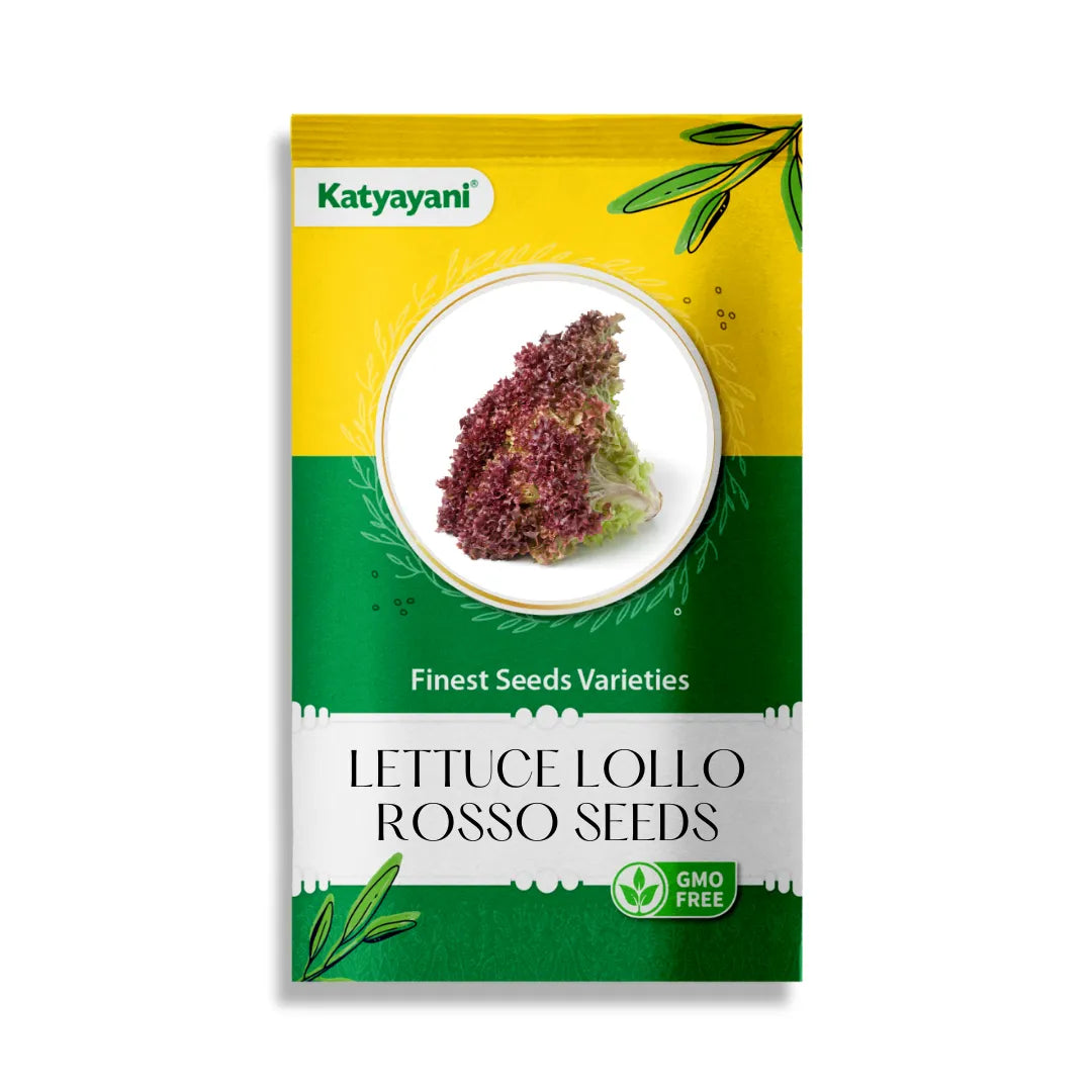 Lettuce Lollo Rosso Vegetable Seeds