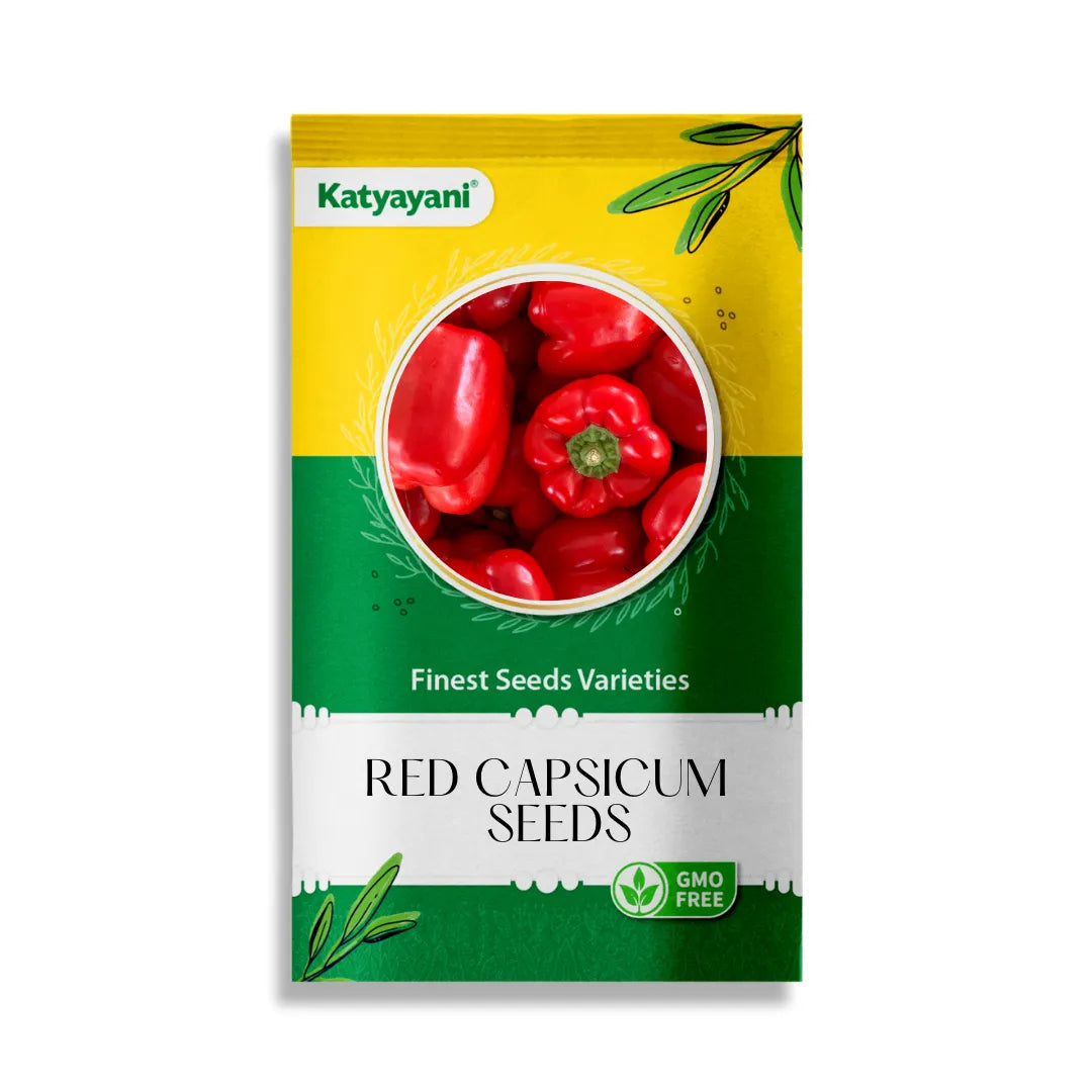 Red Capsicum Vegetable Seed