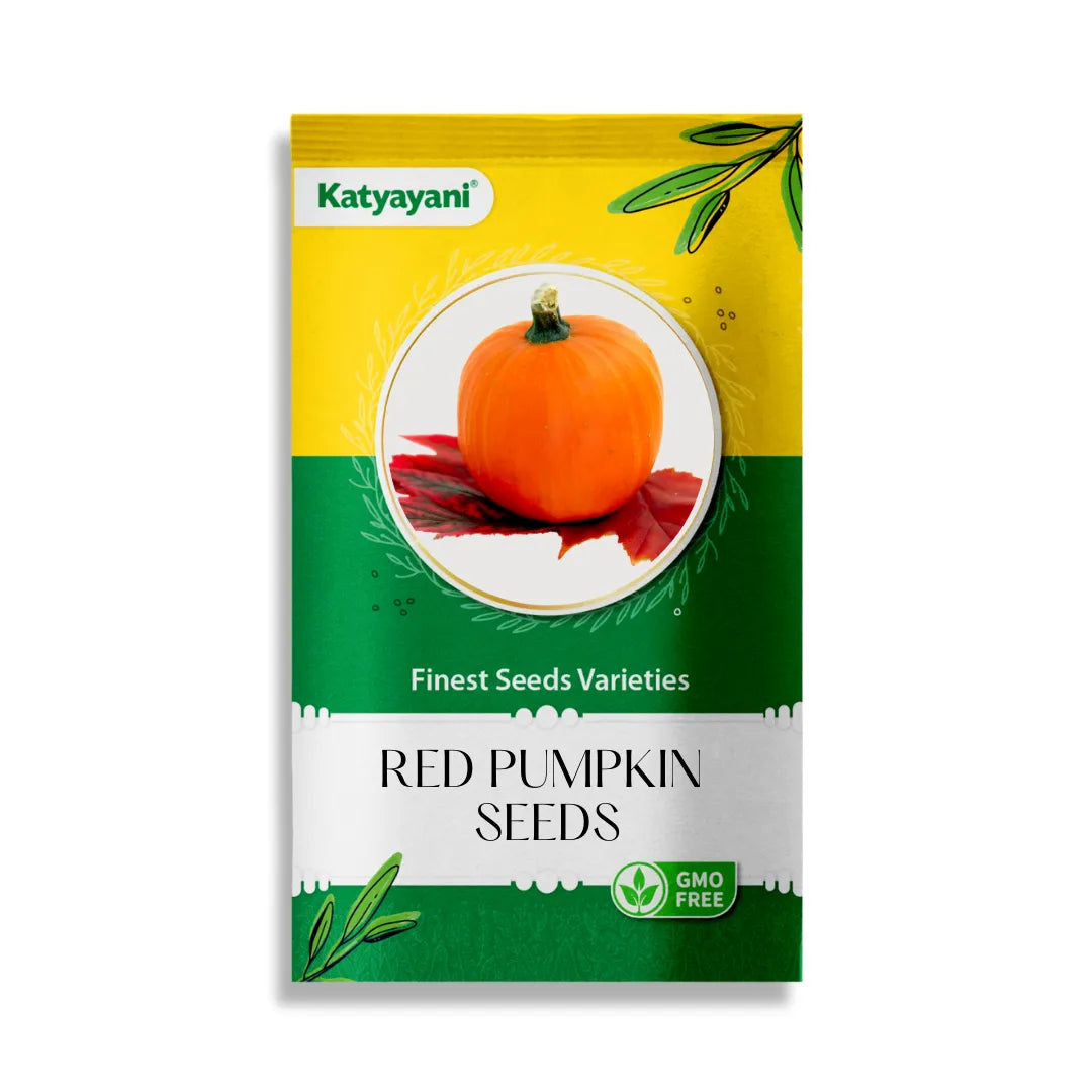 Red Pumpkin Vegetable Seeds