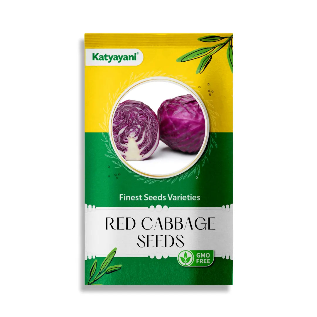 Red Cabbage Vegetable Seeds