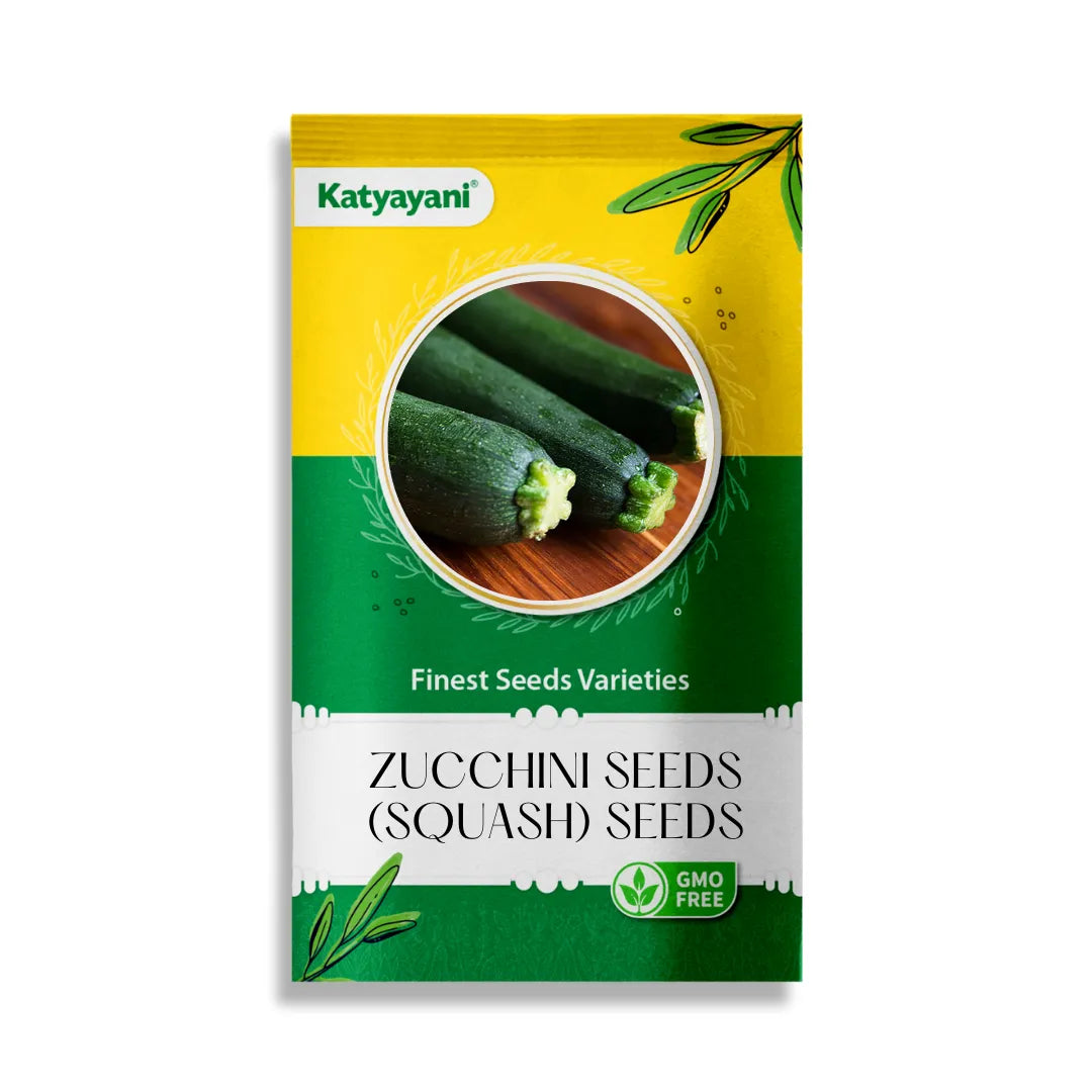 Zucchini  (Squash) Vegetable Seeds