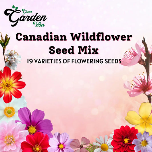 Canadian Wildflower Seed Combo (19 Beautiful Varieties of flower seeds)