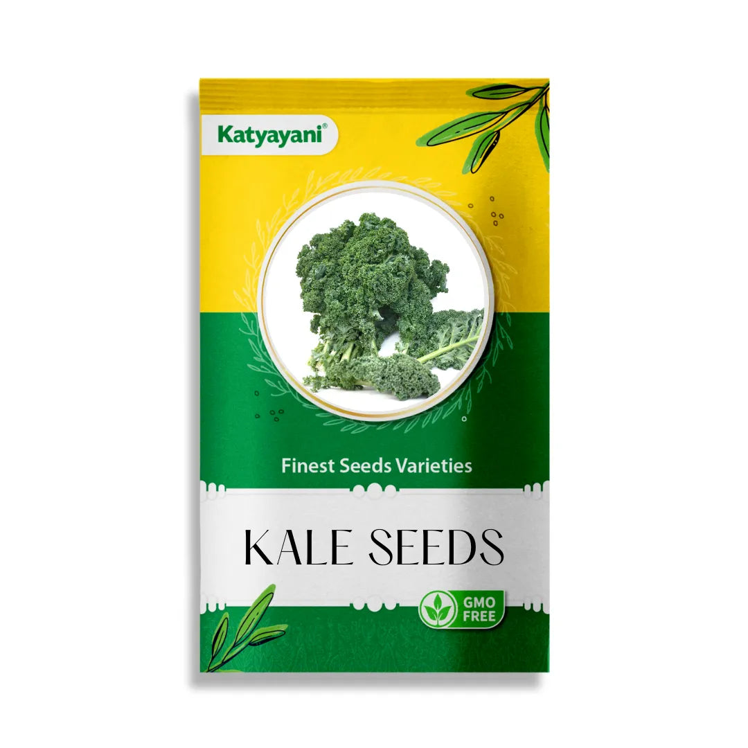 Kale Vegetable Seeds