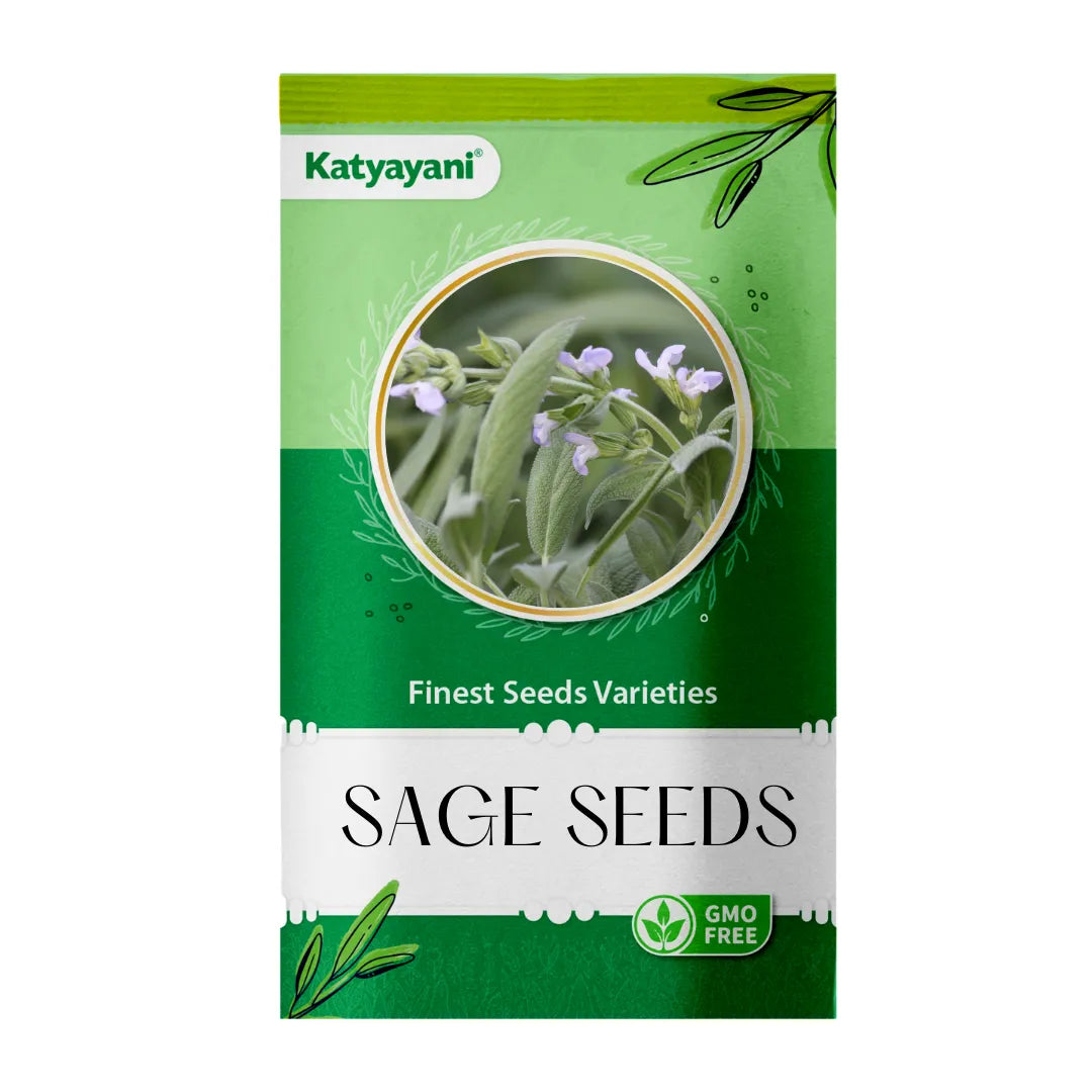 Sage Herb seeds