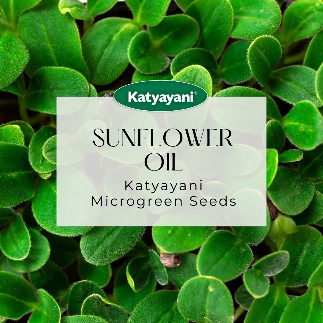 Sunflower Oil Microgreen Seeds