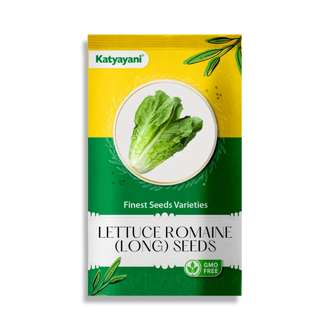 Lettuce Romaine (long) Vegetable Seeds