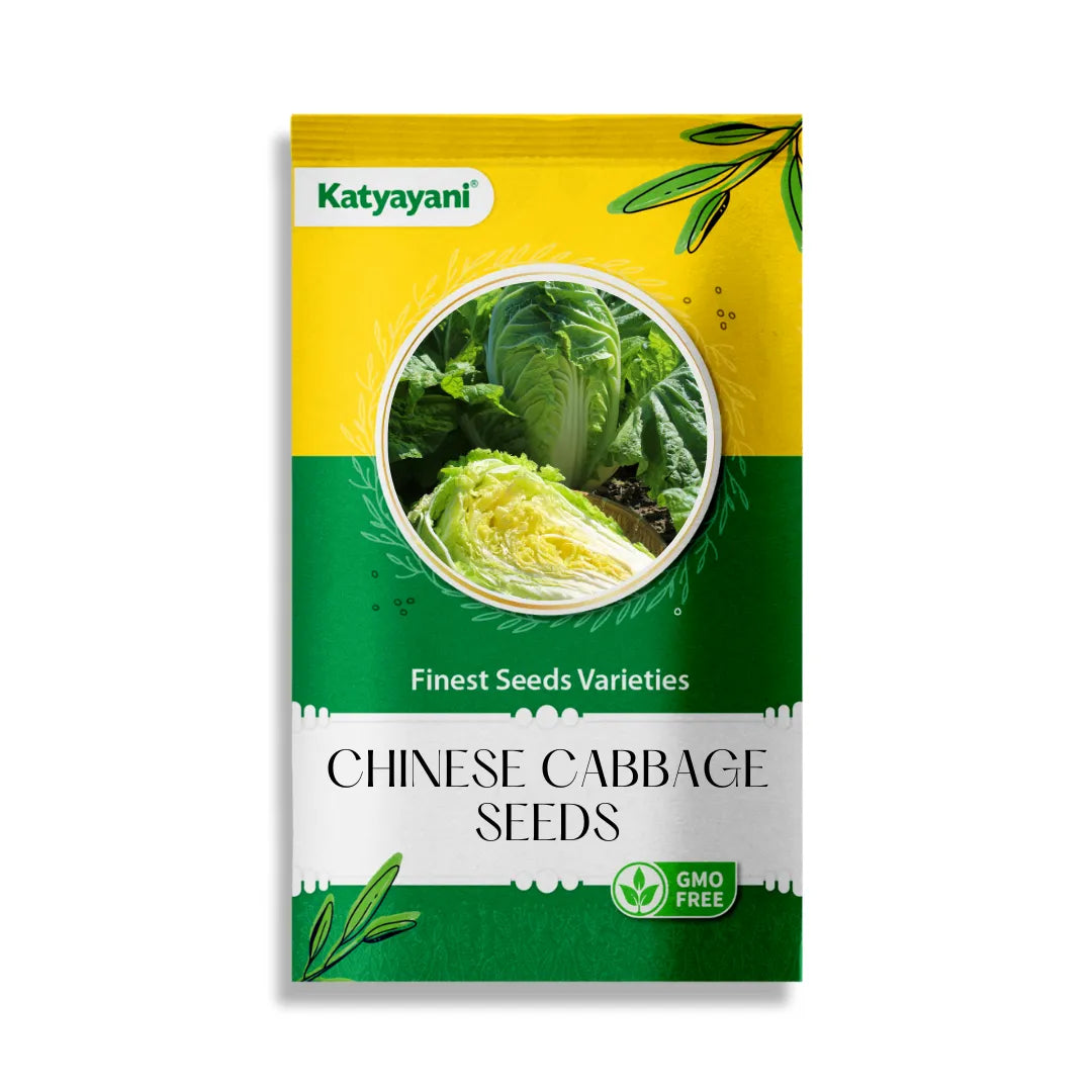 Chinese Cabbage Vegetable Seeds