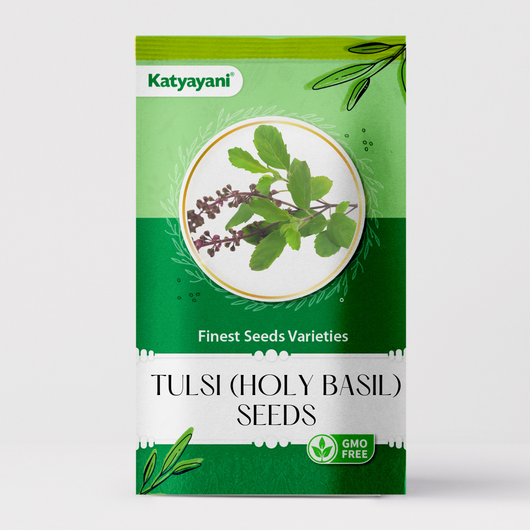 Tulsi  (Holy Basil) Herb seeds