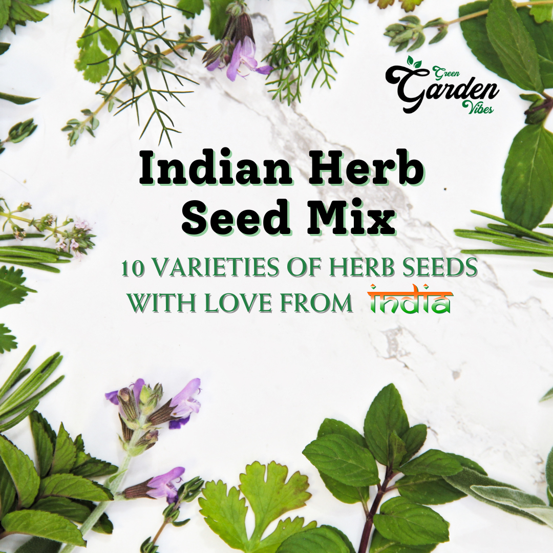 10 Herb Seeds Varieties (Individually Packed Herb Seeds)