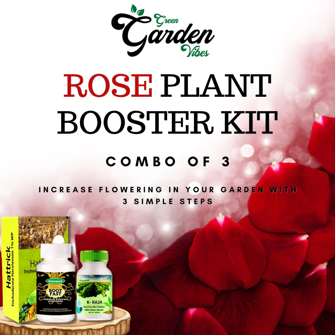 Rose Flower Plant Booster Kit (Trichoderma Harzianum)1 kg,(K Raja)100gm,(Root Fast) 100GM