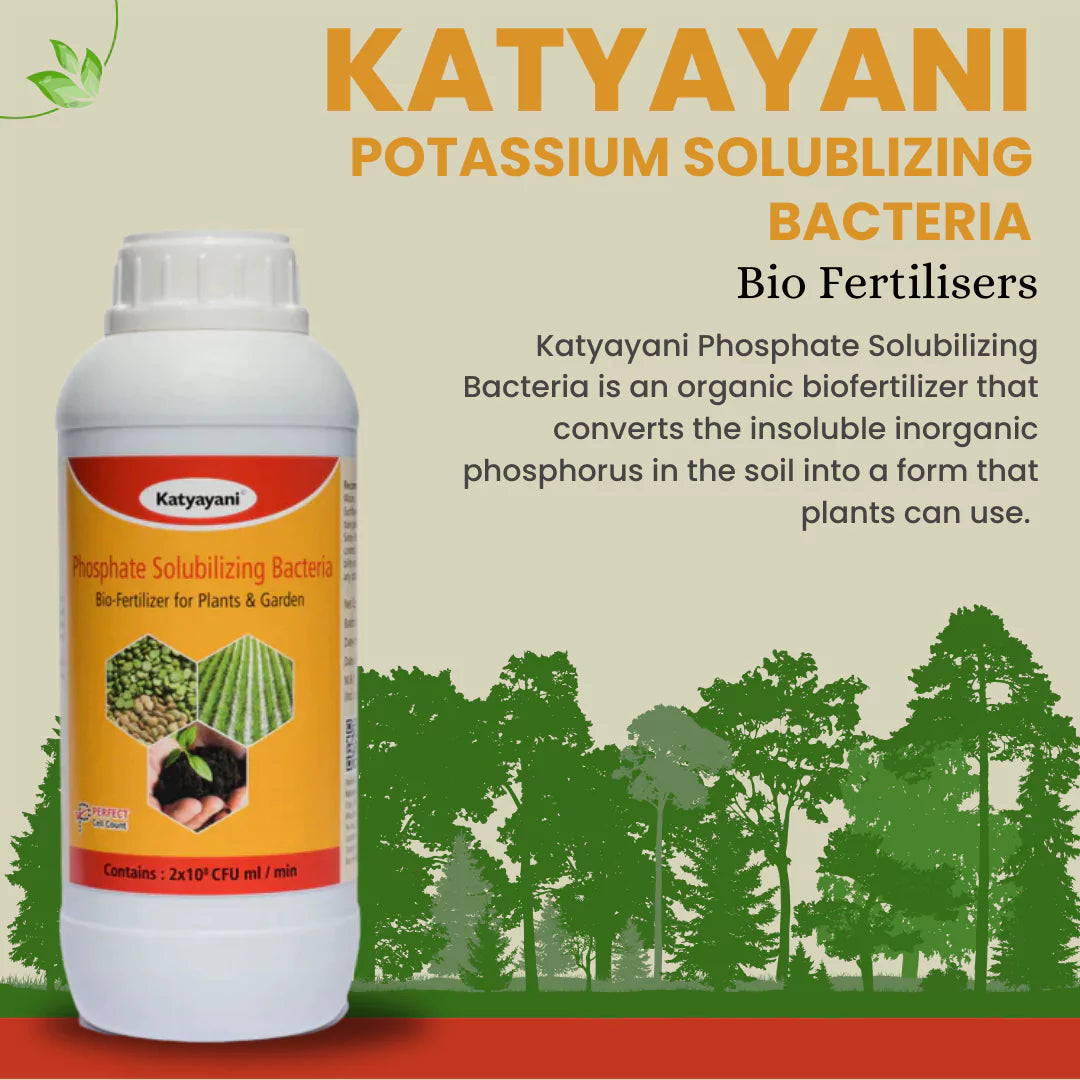 Phosphate Solubilizing Bacteria Bio fertilizer