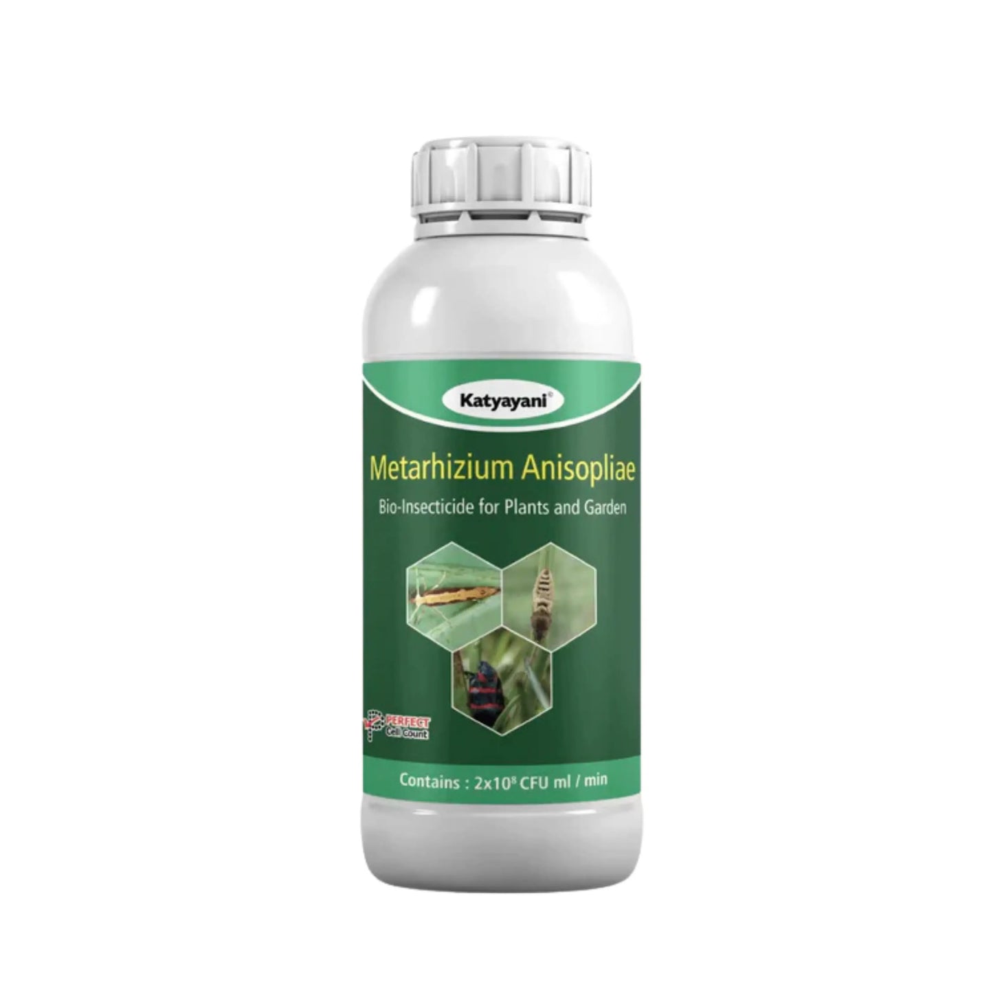 Metarhizium anisopliae Bio pesticide