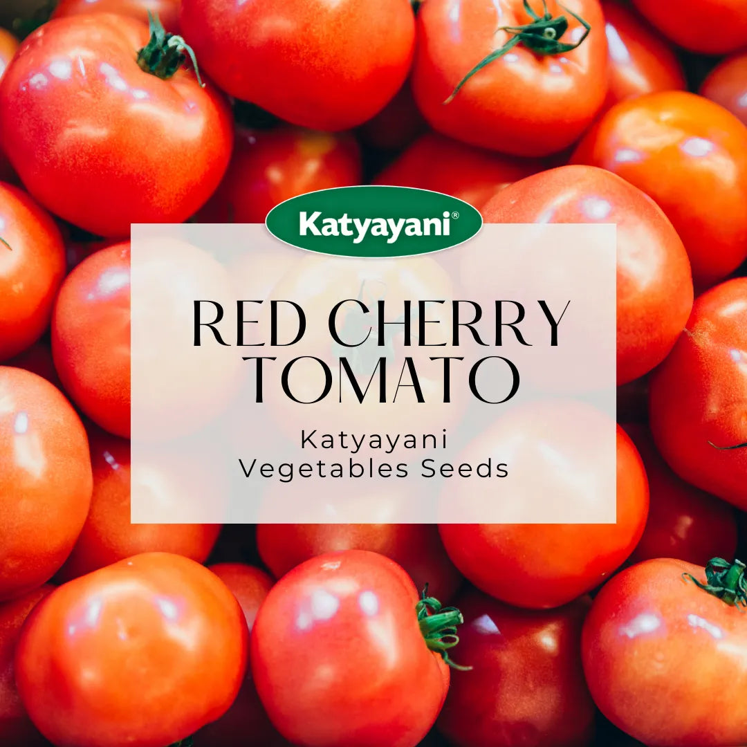 Red Cherry Tomato Vegetable Seeds