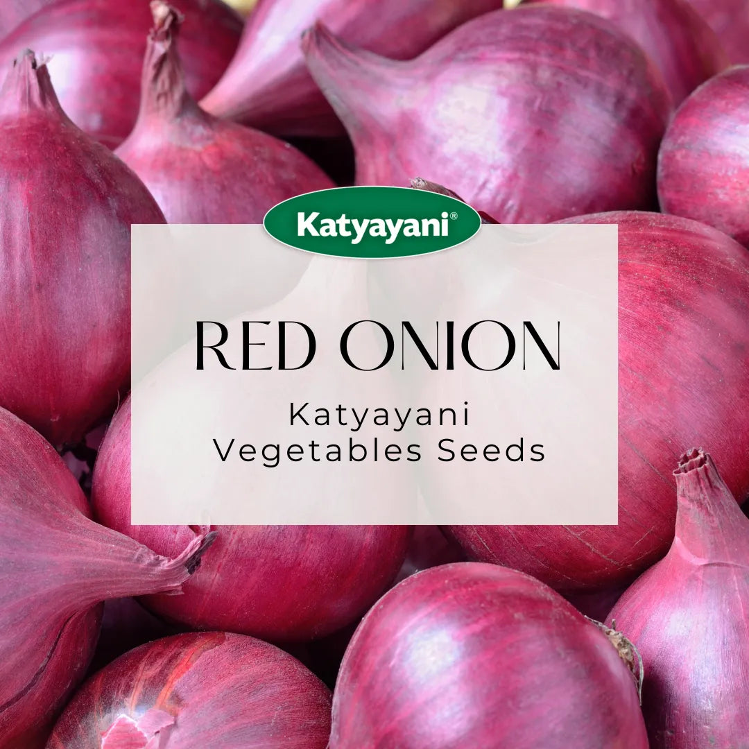 Red Onion Vegetable Seeds