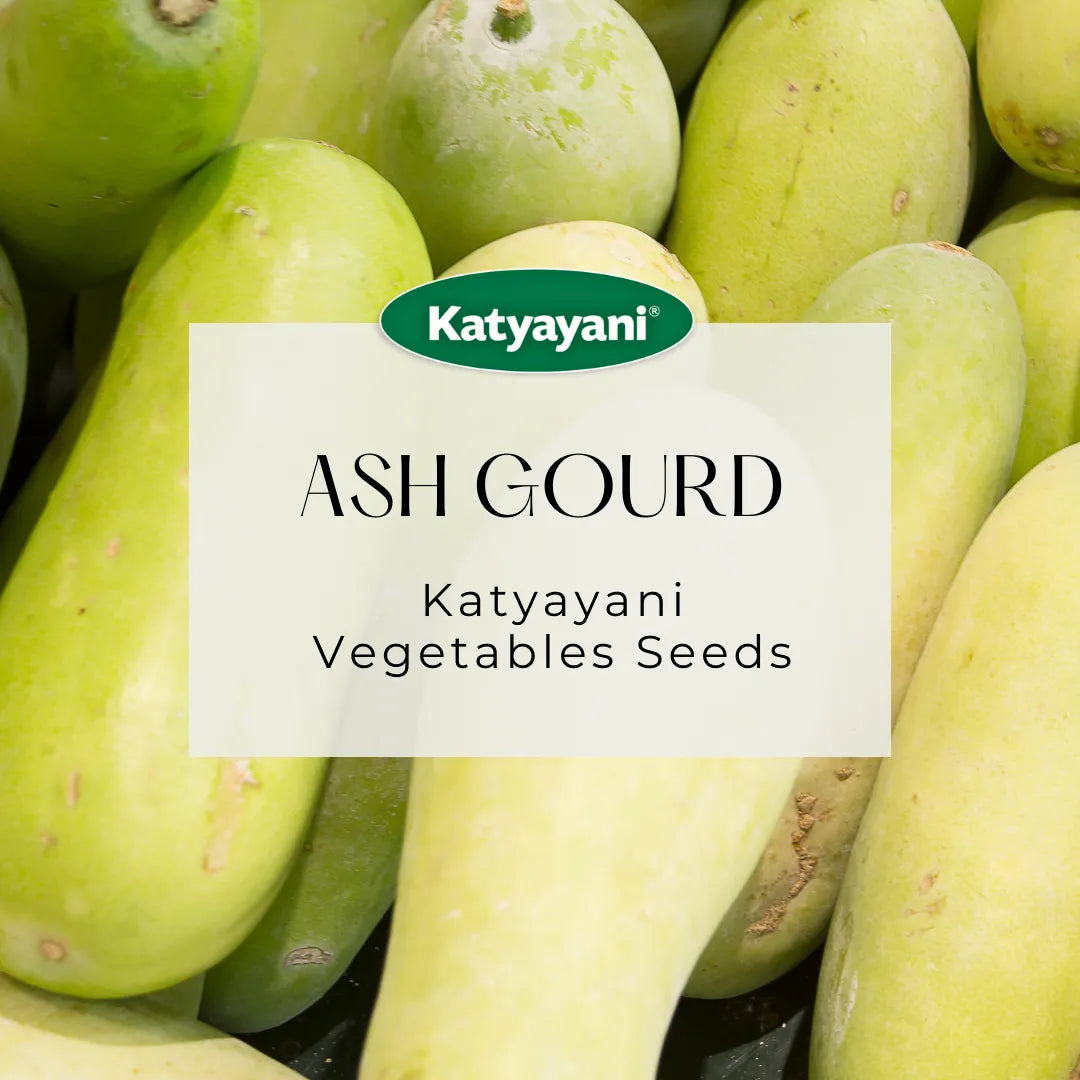 Ash Gourd Vegetable Seeds