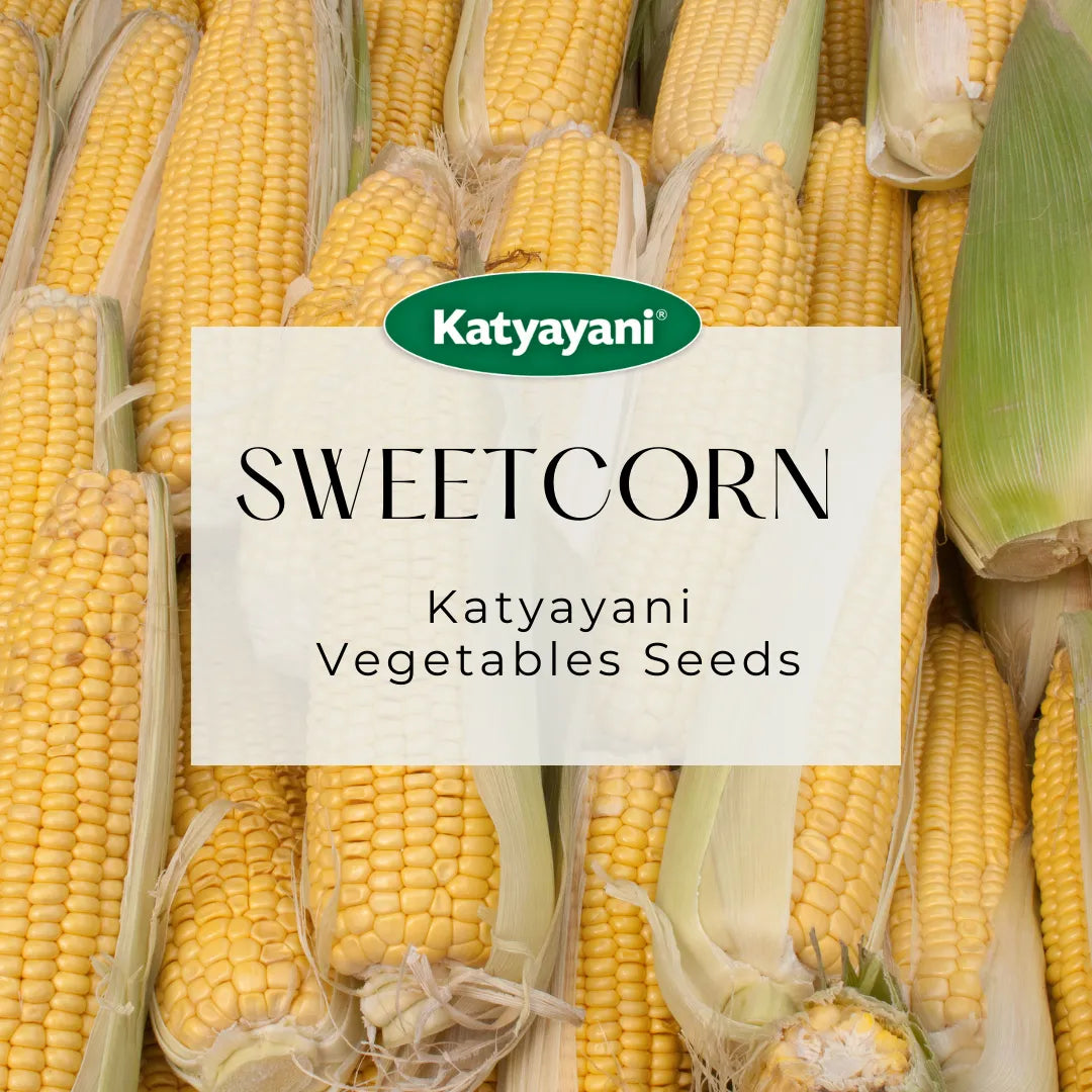 Sweetcorn Vegetable Seeds