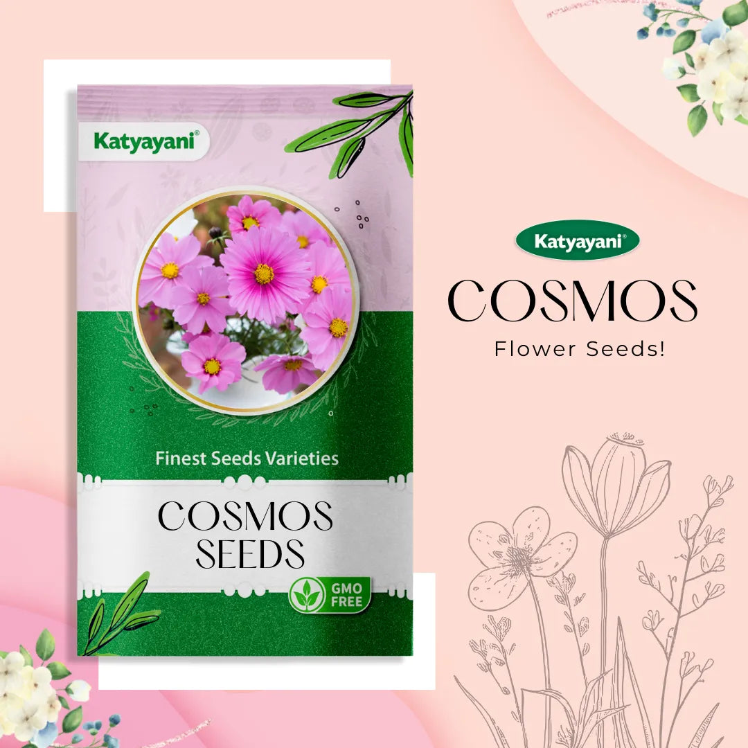 Cosmos Mix Flowering Seeds