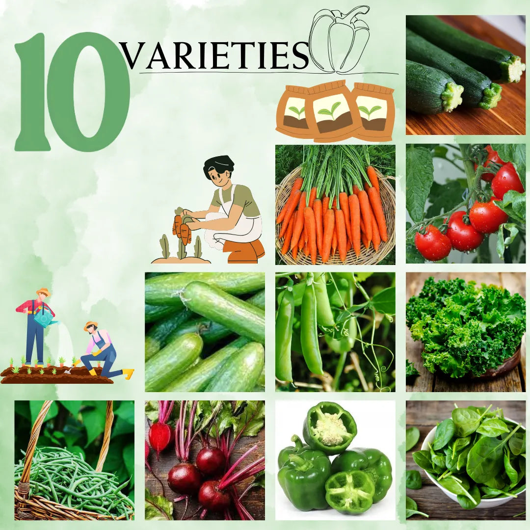 10 Heirloom Vegetable Seed Varieties  (Individually Packed Vegetable Seeds)