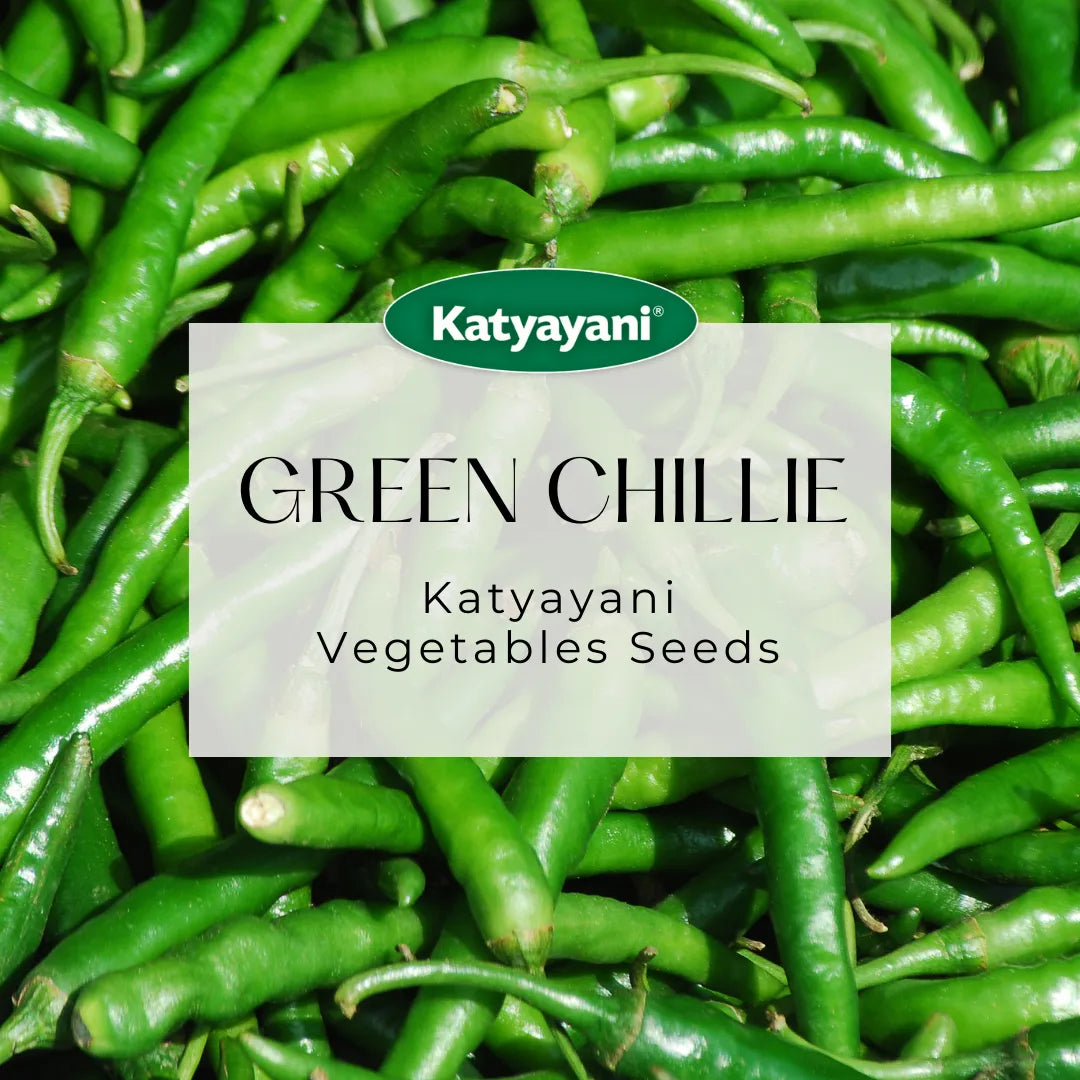 Green Chillie Vegetable Seed