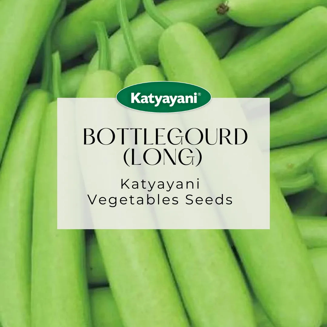 Bottlegourd  (Long) Vegetable Seed