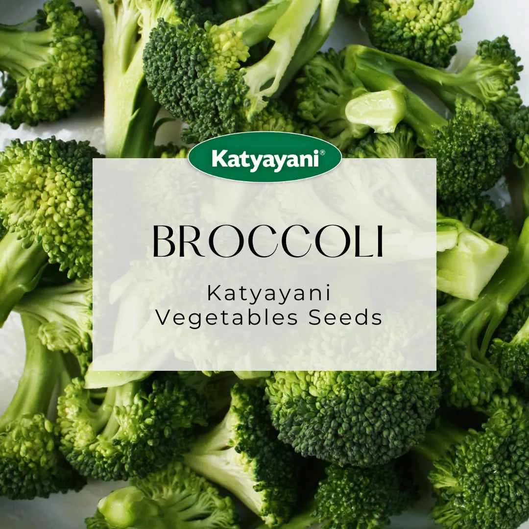 Broccoli Microgreen Seeds