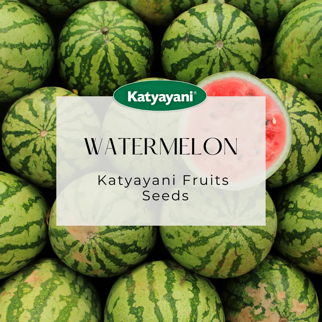 Watermelon Fruit seeds