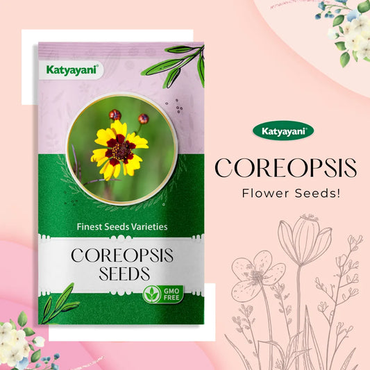 Coreopsis پھولوں کے بیج