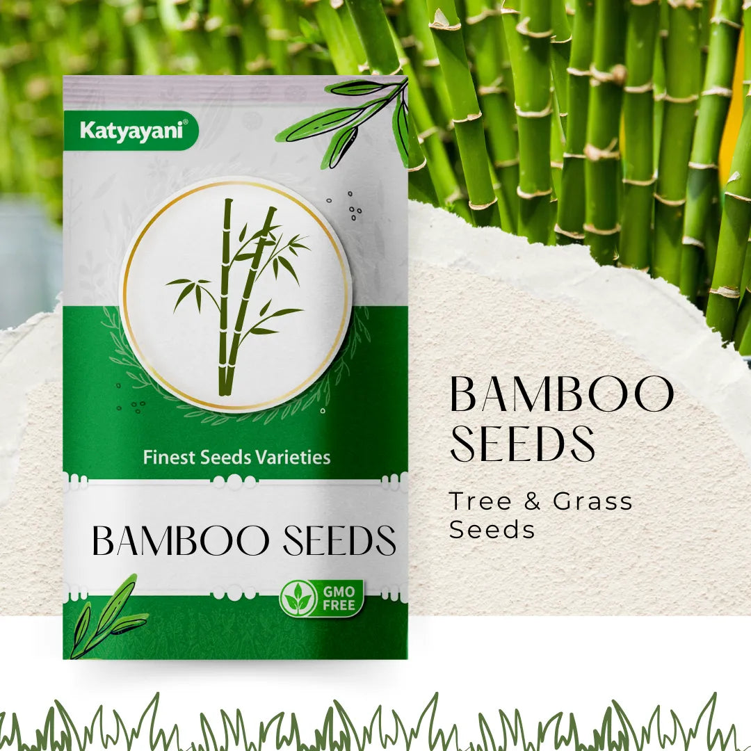 Solid Bamboo  (Dendrocalamus Strictus) - 100 g Tree and Grass seeds