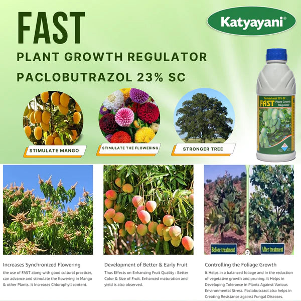 Fast - Paclobutrazol 23% SC : Plant Growth Regulator Mango