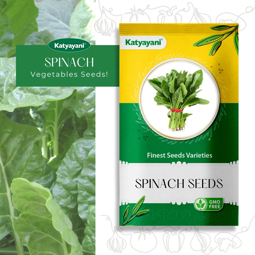 Spinach Vegetable Seeds