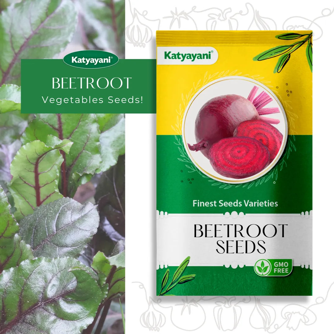 Beetroot Microgreen Seeds