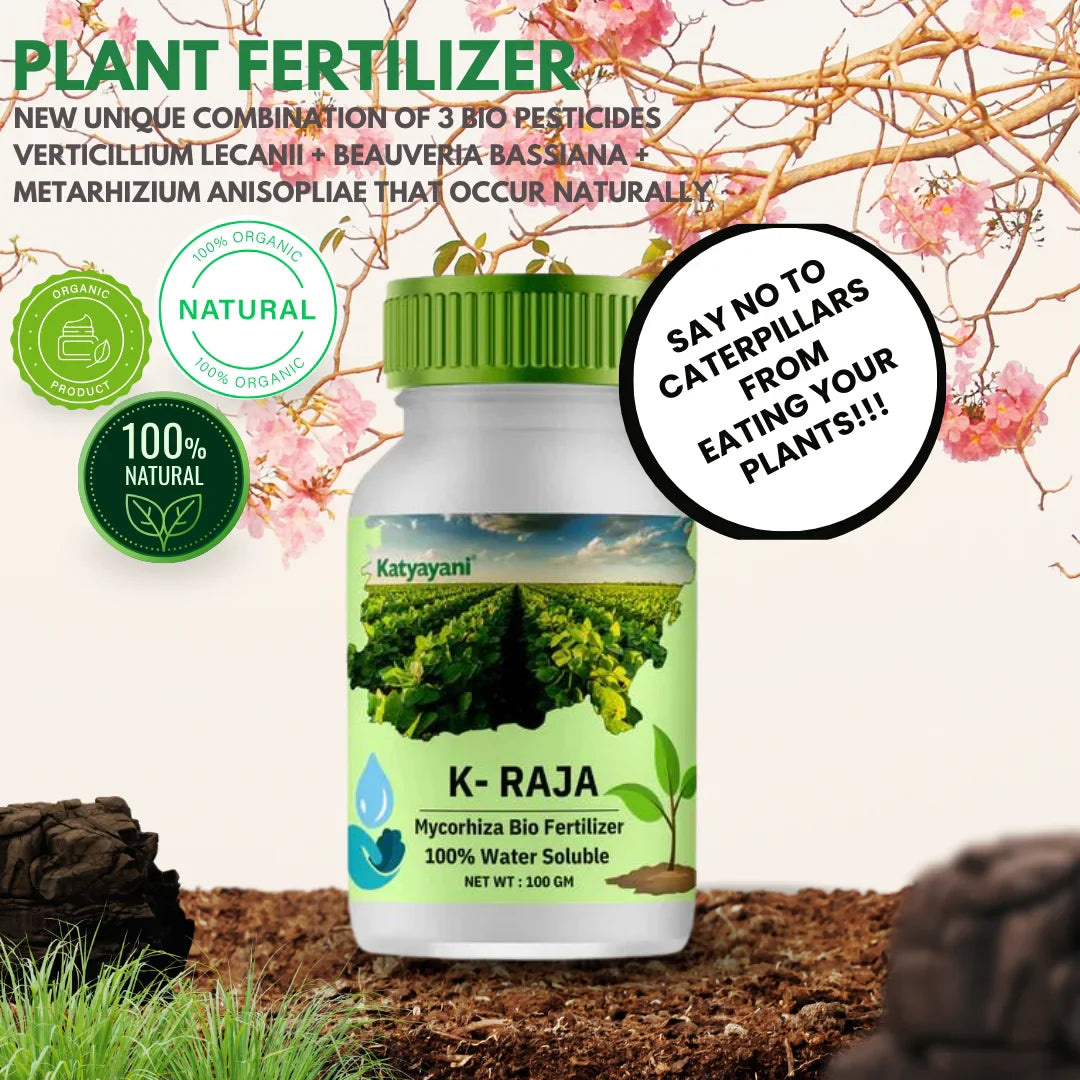 Gardening Plant Growth kit (Rock Phosphate)950 GM (Phosphate solubilising bacteria) 1L,(K-raja)100 GM