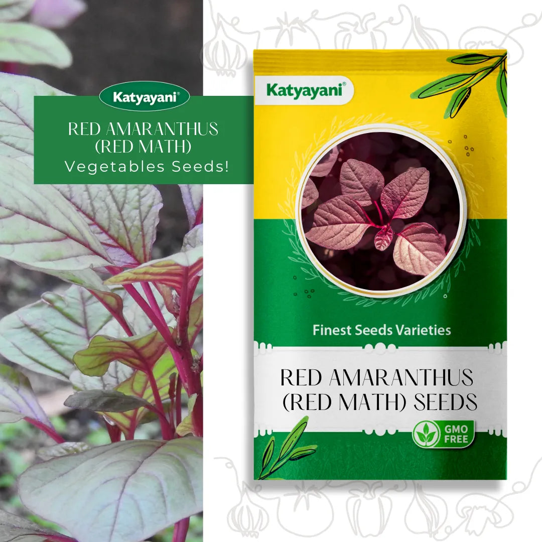 Red Amaranthus  (Red Math) Vegetable Seeds