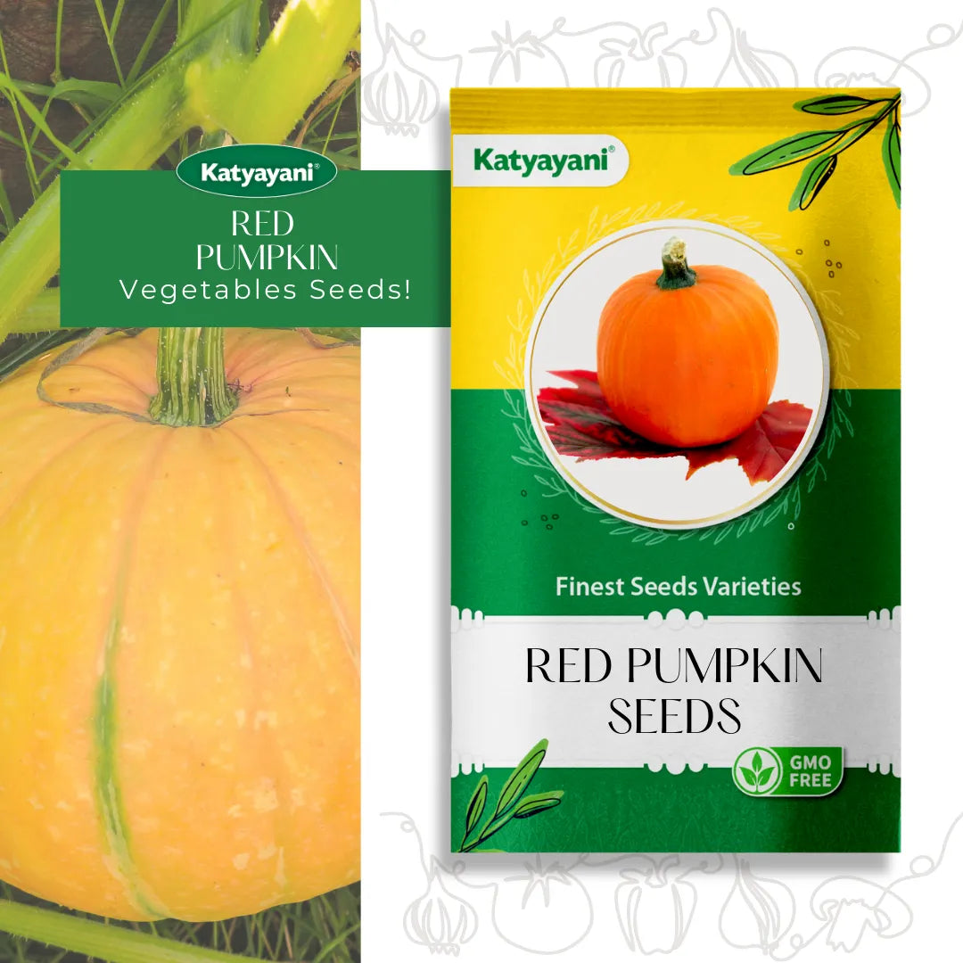 Red Pumpkin Vegetable Seeds