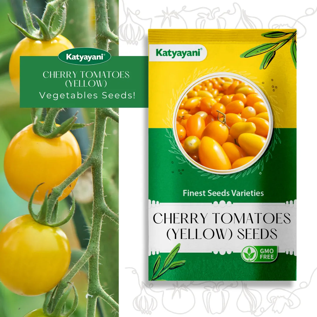 Cherry Tomatoes Seeds (Yellow) Vegetable Seeds