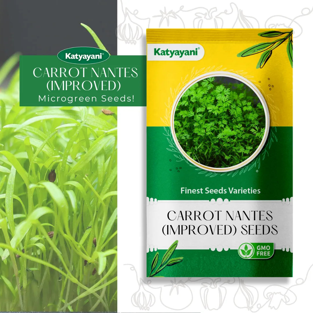 Carrot Nantes  (Improved) Microgreen Seeds