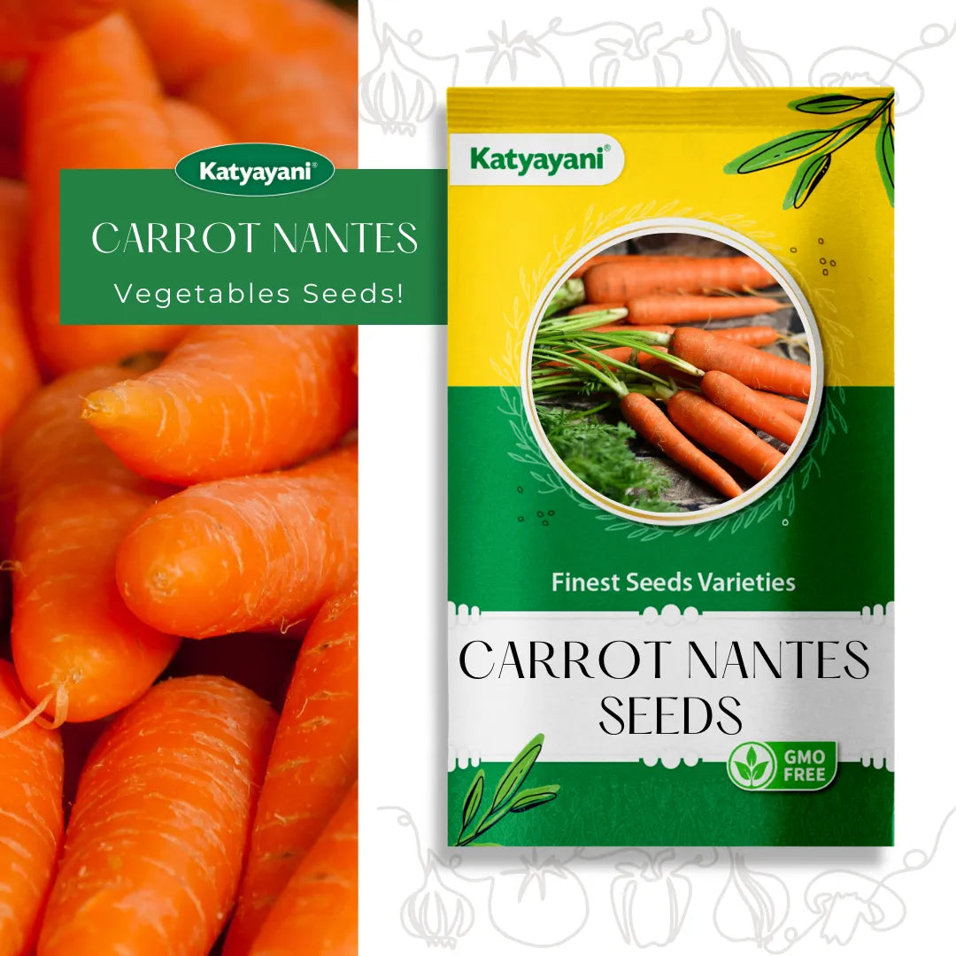 Carrot Nantes (Improved) Vegetable Seeds