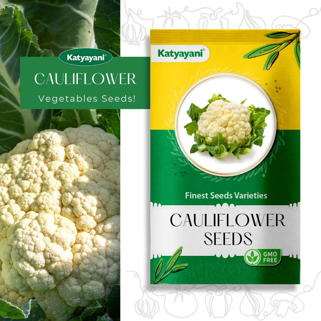 Cauliflower Vegetable Seeds