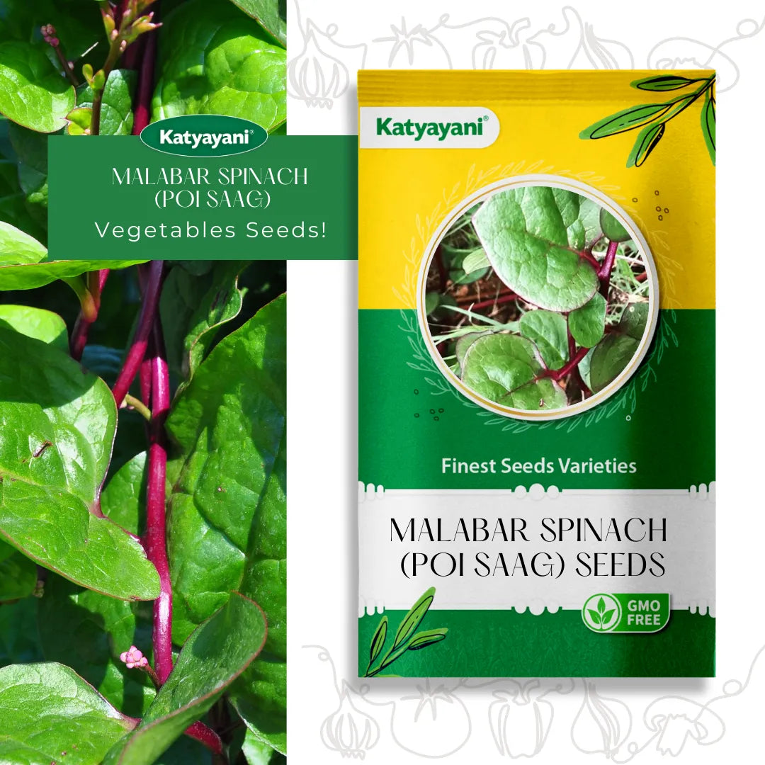 Malabar Spinach (Poi Saag) Vegetable Seeds