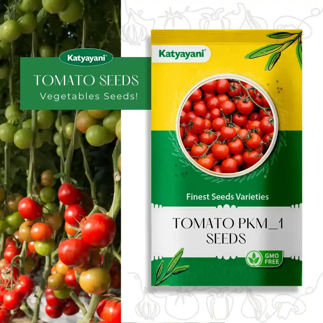 Tomato Pkm-1 Vegetable Seeds