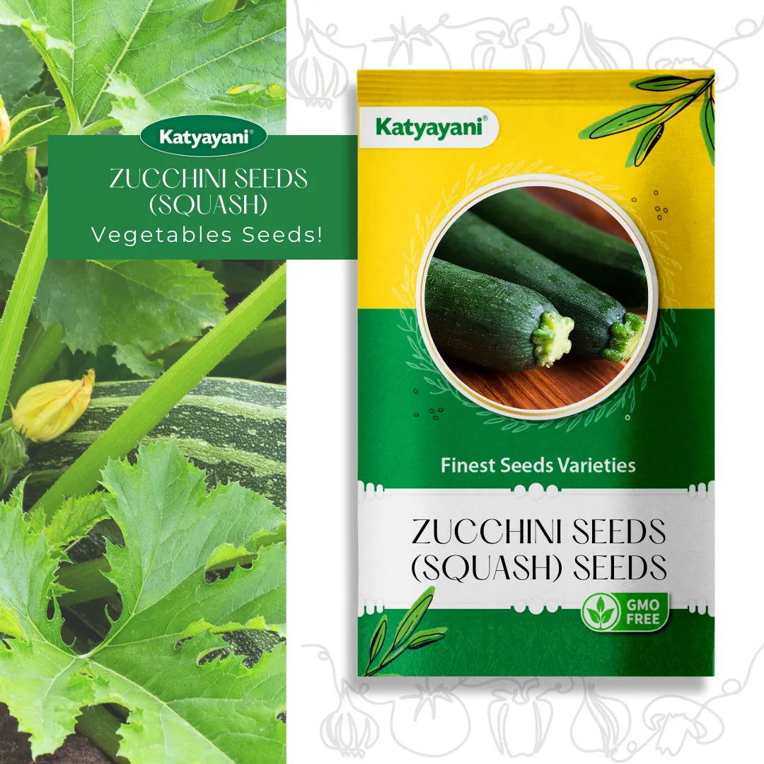 Zucchini  (Squash) Vegetable Seeds