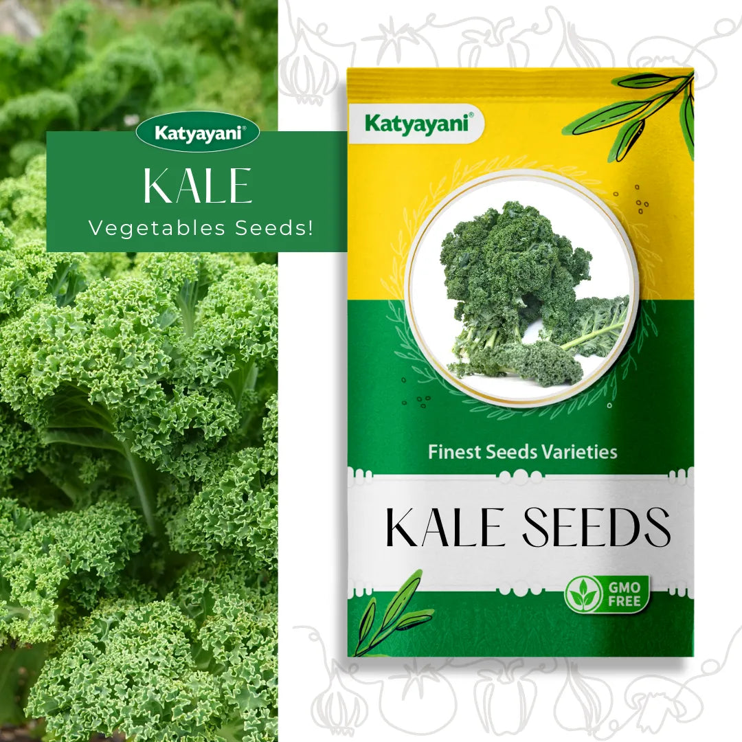 Kale Vegetable Seeds