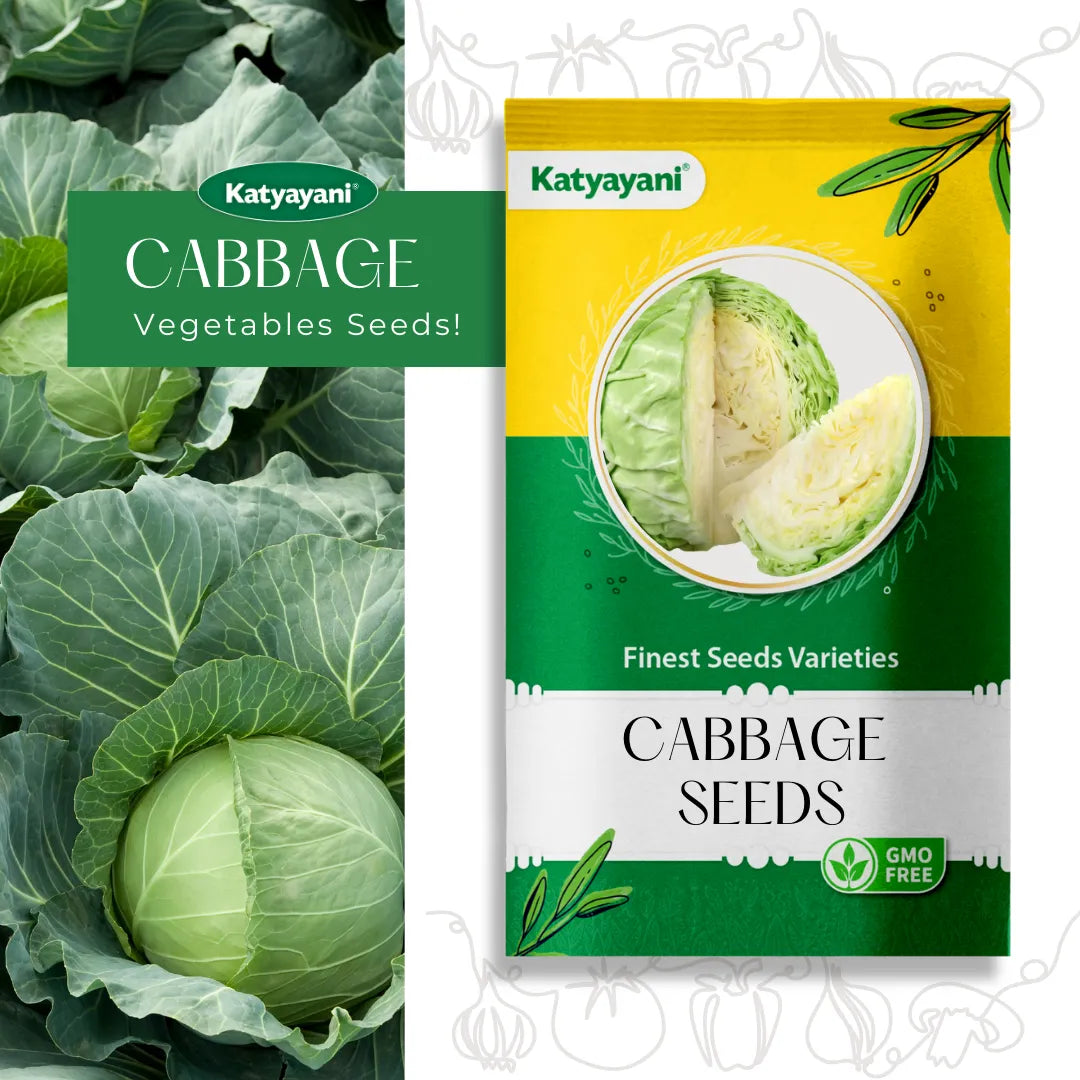 Cabbage Vegetable Seeds