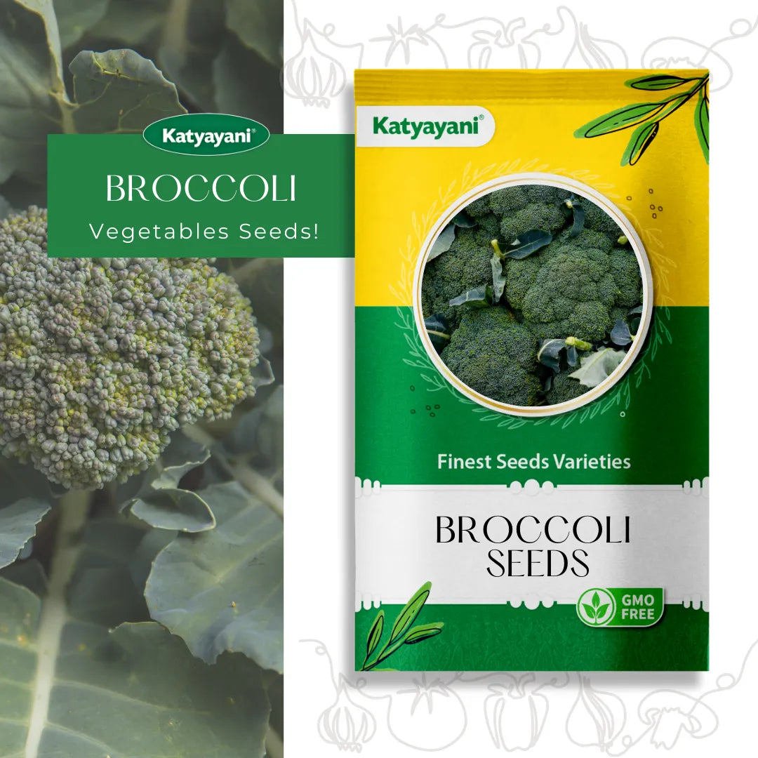 Broccoli Microgreen Seeds