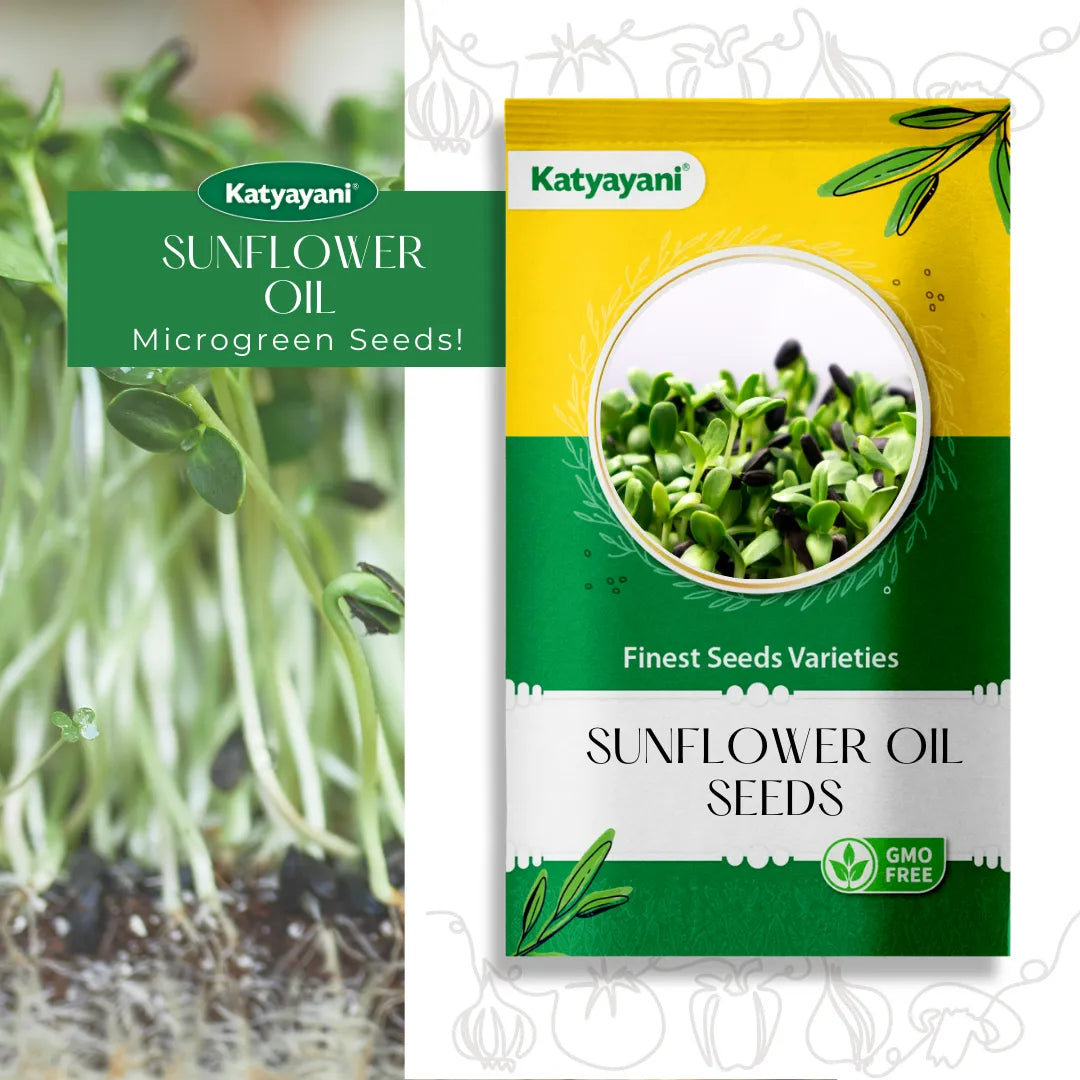 Sunflower Oil Microgreen Seeds