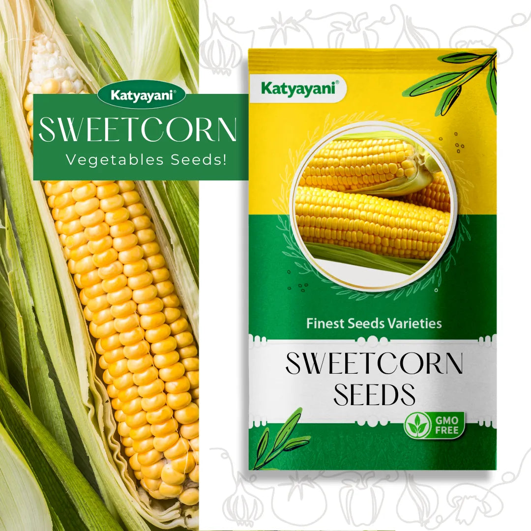 Sweetcorn Vegetable Seeds